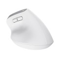 Mysz ergonomiczna TRUST Bayo+ Multidevice Wireless - 2722897