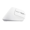 Mysz ergonomiczna TRUST Bayo+ Multidevice Wireless - 2722896