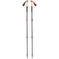 Kije trekkingowe Black Diamond Trail Cork Trekking Poles Fig - 2699648