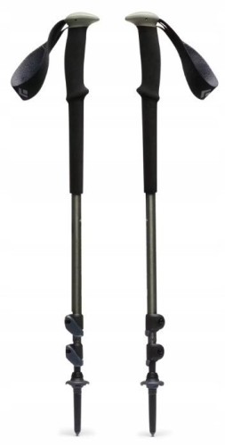 Kije trekkingowe Black Diamond Trail Trekking Poles Pine Smoke - 2699642