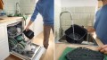 Frytownica beztłuszczowa Bosch MAFS2462B (2000W; 6,1l) - 2738987