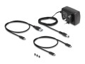 Delock - Kontroler pamięci - Funkcja klonowania - 2.5", 3.5", M.2 (6.4 cm, 8.9 cm) - Karta M.2 (PCIe NVMe i SATA) / SATA SSD - USB-C 3.2 (Gen 2x1) - 2743397