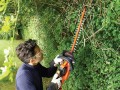 Black & Decker GTC18452PC Podwójne ostrze 2,42 kg - 2746473