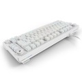 Sharkoon Gaming Tastatur Skiller SGK25 weiĂź DE - 2748674