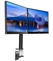 Iiyama DS1002C-B1 - uchwyt biurkowy z regulowanym ramieniem - 2760577