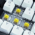 Sharkoon SKILLER SGK50 S3 klawiatura Gaming USB QWERTZ Niemiecki Biały - 2763725