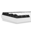 Sharkoon SKILLER SGK50 S3 klawiatura Gaming USB QWERTZ Niemiecki Biały - 2763727
