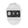 Mysz optyczna OFFICEPAL M25W WHITE/WIRELESS OPTICAL MOUSE 4.000 DPI - 2763843