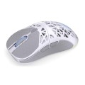 Mysz bezprzewodowa Endorfy LIV Plus Wireless Onyx White (EY6A017) - 2534099
