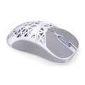 Mysz bezprzewodowa Endorfy LIV Plus Wireless Onyx White (EY6A017) - 2534100