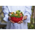 Staub Ceramique Zestaw misek 0,7 l Okrągły Ceramika Czerwony 4 szt. - 2774247