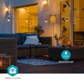 Oświetlenie LED dekoracyjne Wi-Fi Party-Lichter Warmweiss 10 LED's 9.00 m Android™ / IOS Lampendurchmesser: 45 mm - 2763186