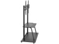 MOBILNY STOJAK+UCHWYT DO TV 37-100" 150KG S-13 ART Vesa 800x600 HEAVY DUTY - 2779911