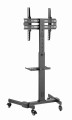 GEMBIRD STOJAK POD TELEWIZOR Z REGULACJĄ WYSOKOŚCI, MOBILNY, NA KÓŁKACH 32" - 55" - 2779929