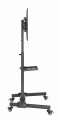 GEMBIRD STOJAK POD TELEWIZOR Z REGULACJĄ WYSOKOŚCI, MOBILNY, NA KÓŁKACH 32" - 55" - 2779930