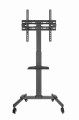 GEMBIRD STOJAK POD TELEWIZOR Z REGULACJĄ WYSOKOŚCI, MOBILNY, NA KÓŁKACH 32" - 55" - 2779928