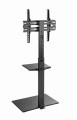 GEMBIRD STOJAK PODŁOGOWY POD TELEWIZOR 32" - 55", - 2779944