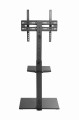 GEMBIRD STOJAK PODŁOGOWY POD TELEWIZOR 32" - 55", - 2779945