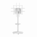 GEMBIRD STOJAK NA TELEWIZOR 37" - 86", BIAŁY - 2779951