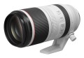 RF 100-500mm F4,5-7,1 L IS USM, obiektyw - 2762949