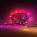 Philips Hue Festavia łańcuchy świetlne 250 LED, 20m|14 W|Zmienna - 2763190