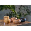 Dyfuzor zapachowy i nawilżacz powietrza TrueLife AIR Diffuser D5 Light 300ml 7W 30m2 - 1652813