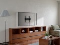 GEMBIRD UCHWYT ŚCIENNY DO TELEWIZORA (BEZ REGULACJI) 32”-75” - 2800469