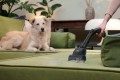 Odkurzacz Hoover HE120PET 011 | W workach | Moc 700 W | Pojemność na kurz 2,5 L | Żelazny szary - 2793787
