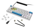 Klawiatura gamingowa Sharkoon Skiller SGK50 S4 Gen2 PBT wei-gel RGB - 2808791