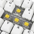 Klawiatura gamingowa Sharkoon Skiller SGK50 S4 Gen2 PBT wei-gel RGB - 2808792