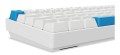 Klawiatura gamingowa Sharkoon Skiller SGK50 S4 Gen2 PBT wei-gel RGB - 2808788