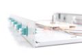 Panel krosowy FO z wyposażeniem 19'' 1U, 6x LC dx, OM3, pigtaile, adaptery, tacki, wysuwany, szary - 2827126