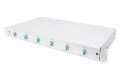 Panel krosowy FO z wyposażeniem 19'' 1U, 6x LC dx, OM3, pigtaile, adaptery, tacki, wysuwany, szary - 2827122