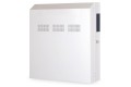 Szafka ścienna 19" NWS 4HE Digitus, Slim 800x640x220 mm, montaż pionowy wewnętrzny, kolor szary (RAL 7035) - 2809747