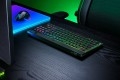 Klawiatura Razer BlackWidow V4 Niskoprofilowa Tenkeyless HyperSpeed (zielony przełącznik) - Układ amerykański - 2819374