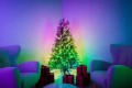 Twinkly Pre-lit Tree -1.50m Choinka, 270 RGB LED, zielony przewód, typ wtyczki C - 2838024