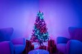 Twinkly Pre-lit Tree -1.50m Choinka, 270 RGB LED, zielony przewód, typ wtyczki C - 2838025