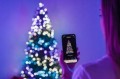 Twinkly Pre-lit Tree -1.50m Choinka, 270 RGB LED, zielony przewód, typ wtyczki C - 2838023