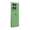 Motorola Edge 60 5G 12/256GB Shamrock - 2556924