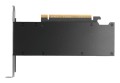 PNY RTX PRO 2000 Blackwell VCNRTXPRO2000-PB - 2876178