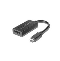 Adapter Lenovo USB-C do DisplayPort - 2892071