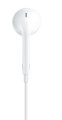 Apple EarPods (USB-C) - 2890443