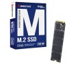Dysk SSD Biostar M760 256GB - 1965261