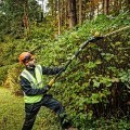 Nożyce do żywopłotu 65cm, 54V DCMPH566N DEWALT - 2896743