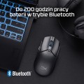 Myszka HyperX Pulsefire Haste 2 Core Wireless Black Schwarz - 2722872