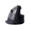Ergonomiczna mysz R-Go Maus HE ergonomisch rechts Bluetooth mittel schwarz/sil retail - 2463706