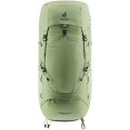 Aircontact Lite 45 + 10 SL grove-ivy | uniwersalny - 2518032