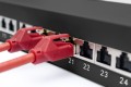 Patch panel DIGITUS Professional DN-91624S-EA-B - 1U - 19 - 2597144
