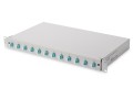 Panel krosowy FO z wyposażeniem 19'' 1U, 12x LC dx, OM3, pigtaile, adaptery, tacki, wysuwany, szary - 2809604