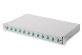 Panel krosowy FO z wyposażeniem 19'' 1U, 12x LC dx, OM3, pigtaile, adaptery, tacki, wysuwany, szary - 2820212